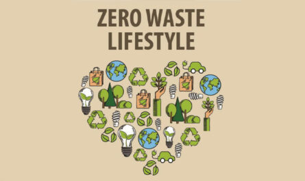zero waste lifestyle